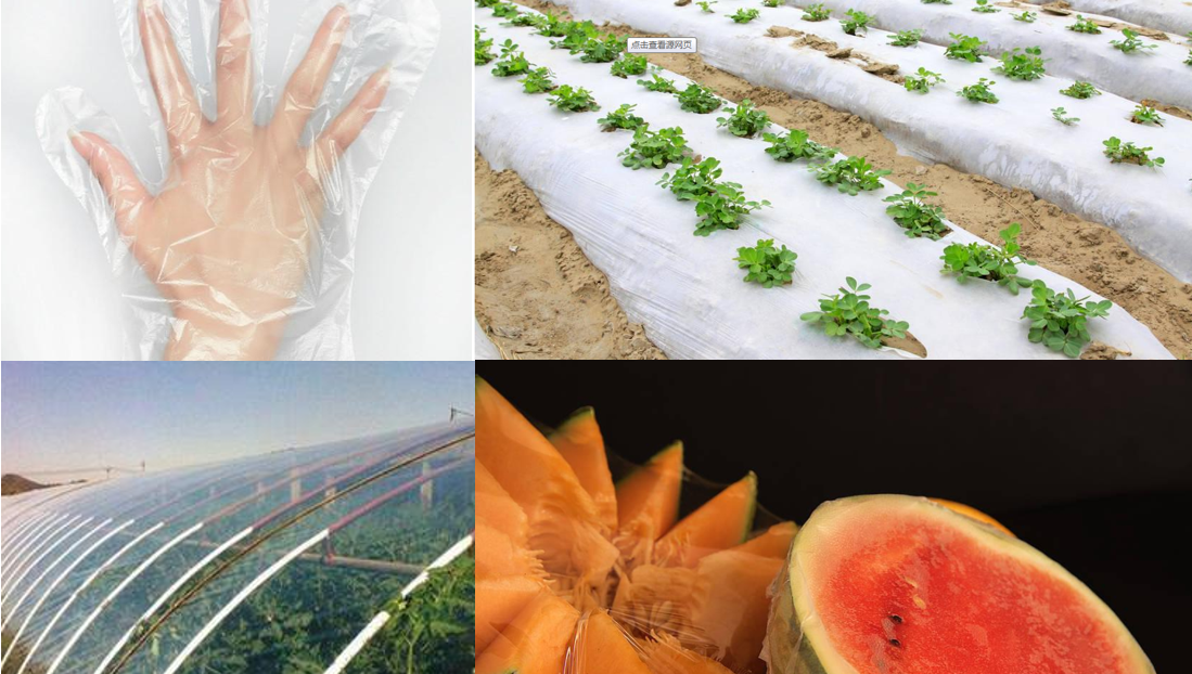 Plastic film industry applications - Hangzhou pinxiang technology co., LTD